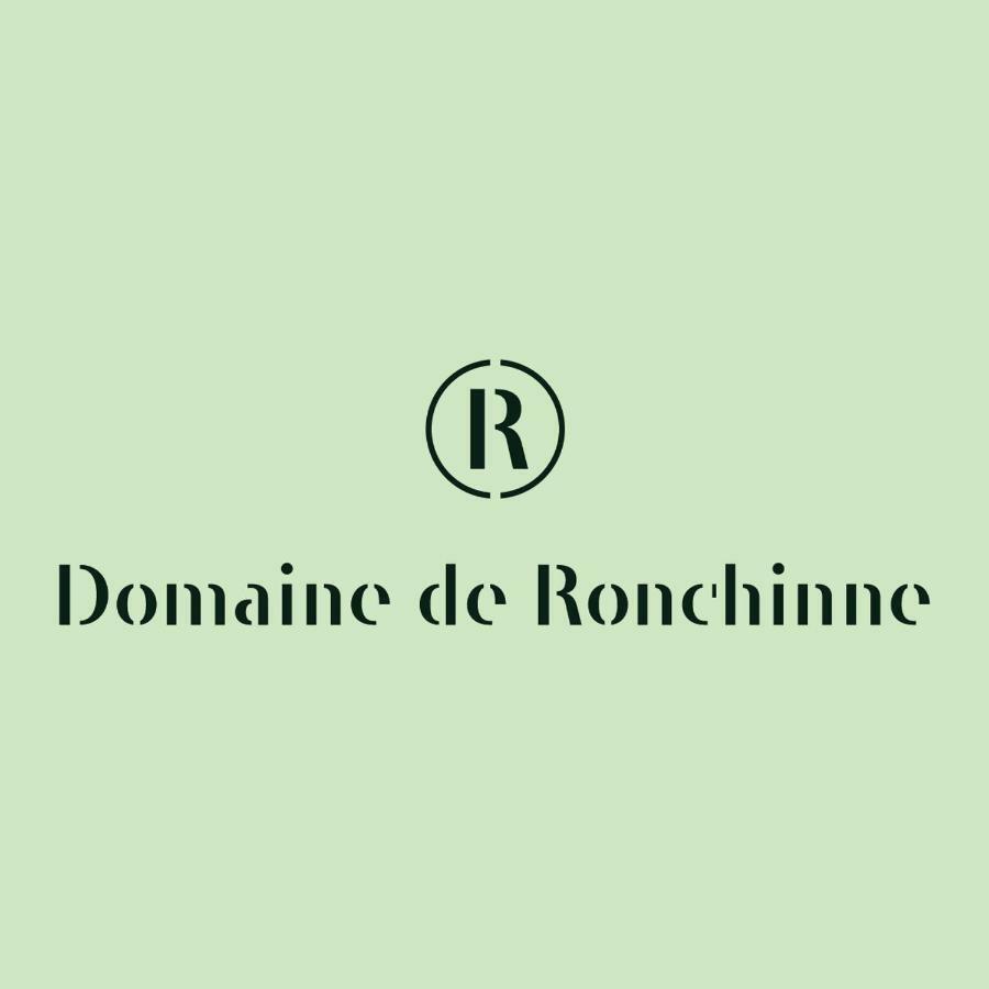 Domaine De Ronchinne - Insolites Maillen Exterior foto